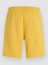 O'Neill Future Surf Society Shorts