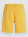 O'Neill Future Surf Society Shorts
