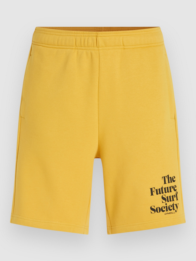 O'Neill Future Surf Society Shorts