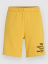O'Neill Future Surf Society Shorts