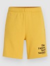 O'Neill Future Surf Society Shorts