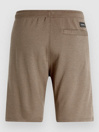 O'Neill Logo Shorts