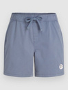 O'Neill Og Porter Shorts