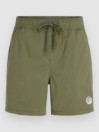 O'Neill Og Porter Shorts