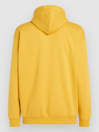 O'Neill Future Surf Society Hoodie