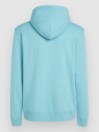 O'Neill Logo Hoodie