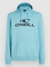 O'Neill Logo Hoodie