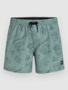 green vintage surfer