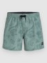 green vintage surfer