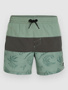 green vintage surfer