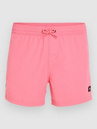 O'Neill Jack Vert Retro 14'' Boardshorts
