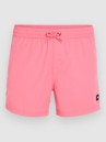 O'Neill Jack Vert Retro 14'' Boardshorts