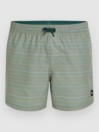 O'Neill Jack Cali First 15'' Boardshorts