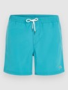 O'Neill Vert 16'' Boardshorts