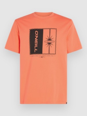 O'Neill Mix & Match Palm T-Shirt living coral kaufen