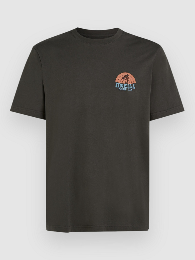 O'Neill Beach Graphic T-Shirt
