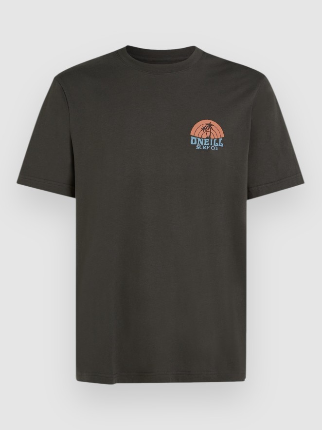 O'Neill Beach Graphic T-Shirt