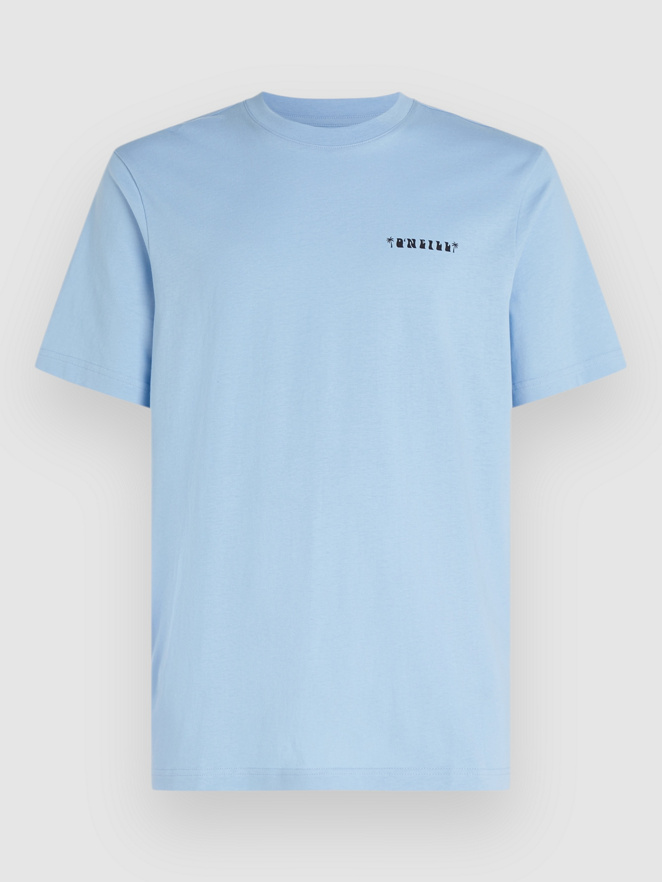 O'Neill Beach Graphic T-Shirt