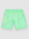O'Neill Circle Surfer 14″ Kids Boardshorts