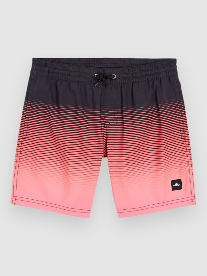 O'Neill Jack Cali Gradient 14'' Kids Boardshorts