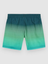 O'Neill Jack Cali Gradient 14'' Kids Bañador