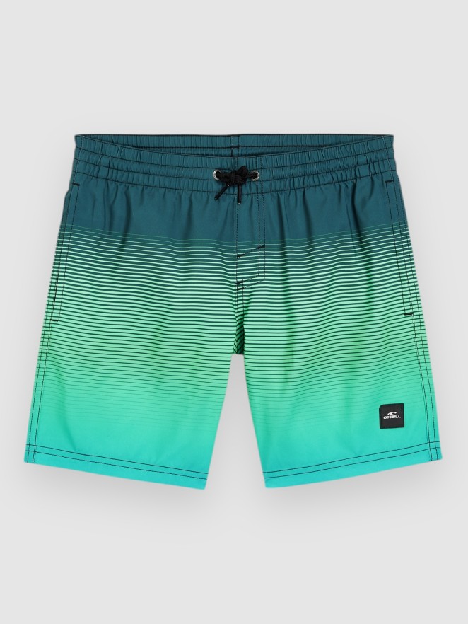 O'Neill Jack Cali Gradient 14'' Kids Bañador