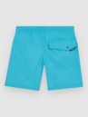 O'Neill Vert 14″ Kids Boardshorts