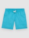 O'Neill Vert 14″ Kids Boardshorts