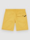 O'Neill Vert 14″ Kids Boardshorts