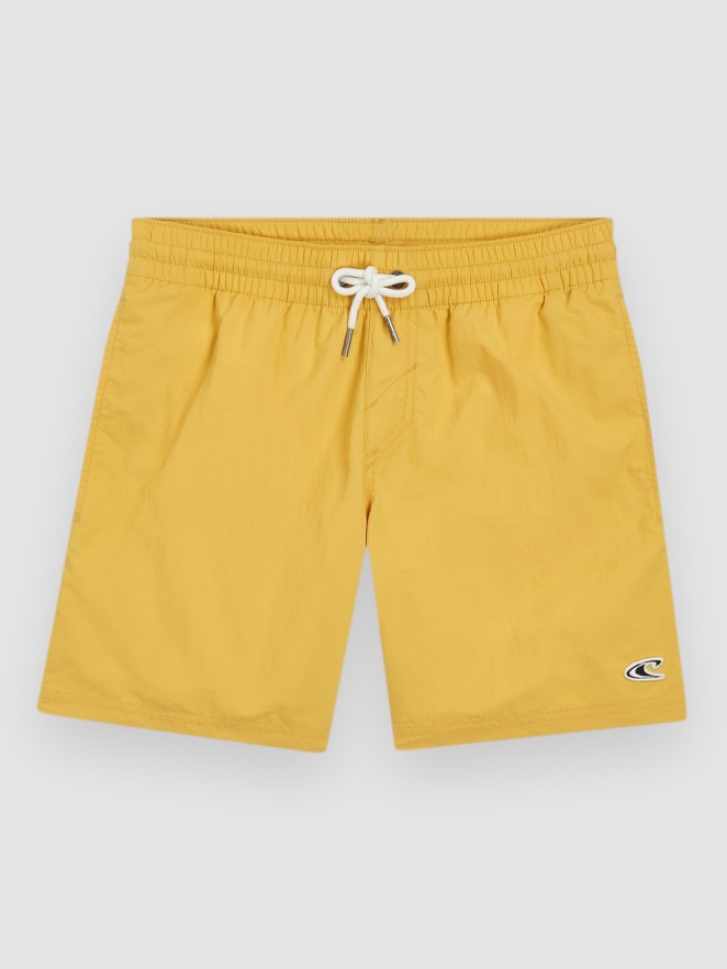 O'Neill Vert 14″ Kids Boardshorts