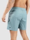 Fat Moose Ocean Boardshorts