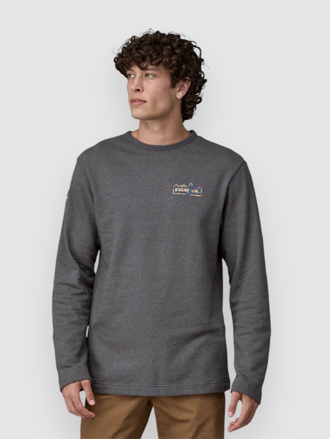 Patagonia LW Unity Fitz Wildrise Crew Sweater