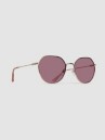Dot Dash Jitters Rose Glod Sunglasses