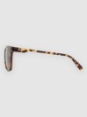 Dot Dash Buzzy Tortoise Sunglasses