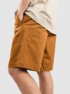 Nike Sb Shorts
