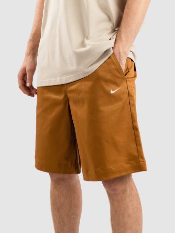 Nike Sb Shorts