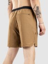 Stance Complex Boardshorts