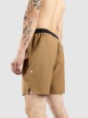 Stance Complex Boardshorts