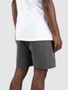 REELL Reflex Lazy Shorts