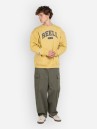 REELL Para Cargo Pants