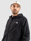 THE NORTH FACE Homesafe Full Zip Hoodie