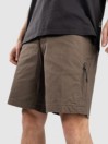 Fox Essex 3.0 Shorts