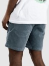 Katin USA Cord Local Shorts