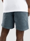 Katin USA Cord Local Shorts