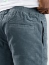 Katin USA Cord Local Shorts