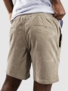 Katin USA Cord Local Shorts