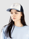 Iriedaily Daily Flag Mesh Gorra