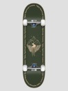 Tricks Mountain 7.75″X31.60″ Skateboard Completo