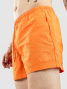 Empyre Ollie 14.5 Nylon Shorts