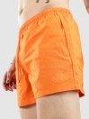 Empyre Ollie 14.5 Nylon Shorts